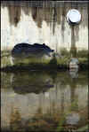banksy_fish_bone_bear_1.jpg (132517 bytes)