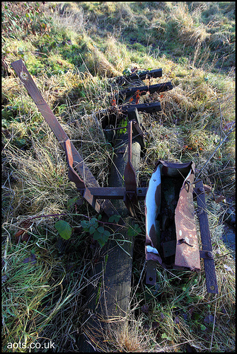 Felled Telegraph pole