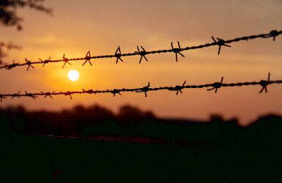 Barbed wire
