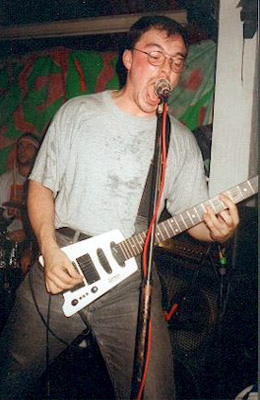 Herb garden guitar - Destructive Natural Agent